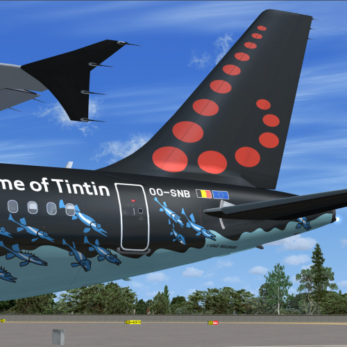 More information about "FSLabs A320-214 brussels airlines (OO-SNB)"