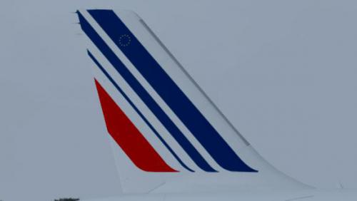 More information about "Air France F-HBNB"
