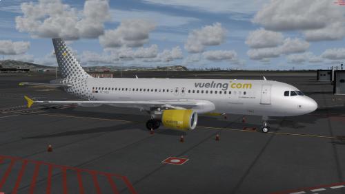 More information about "Vueling A320 CFM - ECHGZ"