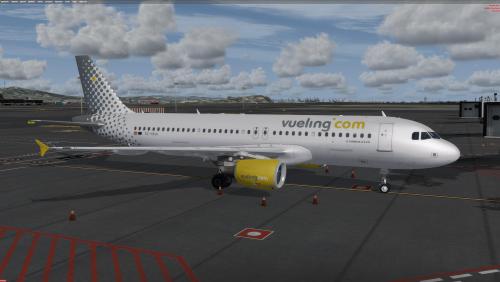 More information about "Vueling A320 CFM EC-HHA"