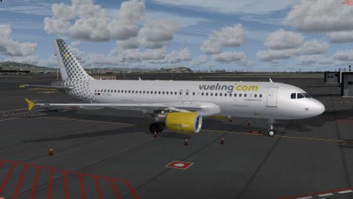 More information about "Vueling A320 CFM EC-HQJ"