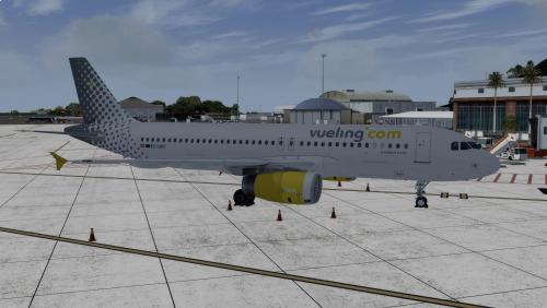 More information about "Vueling A320 IAE EC-LRY"