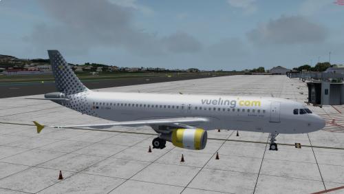 More information about "Vueling A320 CFM EC-MBM"