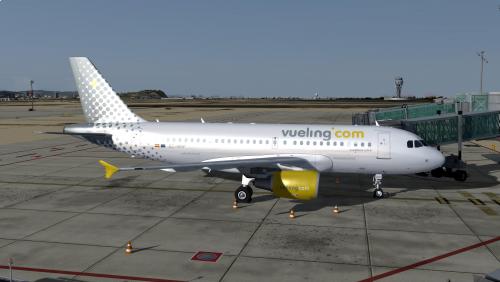 More information about "Vueling A319 CFM EC-MGF"