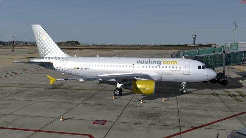 More information about "Vueling A319 CFM EC-MKV"