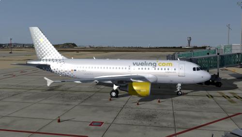 More information about "Vueling A319 CFM EC-MKX"