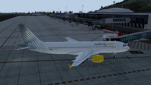 More information about "Vueling A320 CFM EC-MYB"
