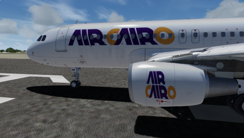More information about "Air Cairo white fleet SU-BSN/M"