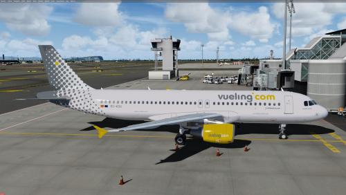 More information about "Vueling A320 CFM EC-KDG"
