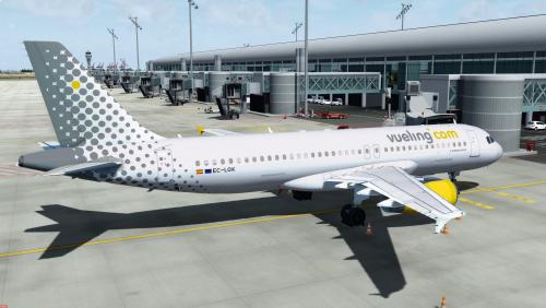 More information about "Vueling A320 IAE EC-LQK"