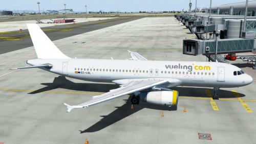 More information about "Vueling A320 IAE EC-LQL"