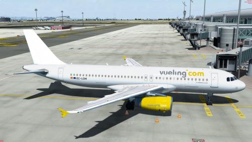 More information about "Vueling A320 IAE EC-LQM"