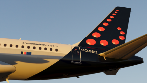 More information about "Brussels Airlines A319 OO-SSO White Nose"