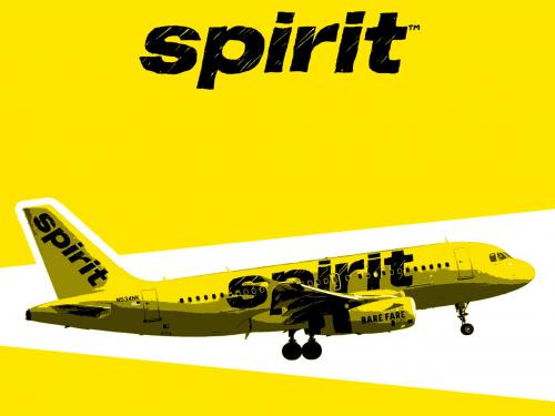 More information about "Spirit Airlines EFB background"