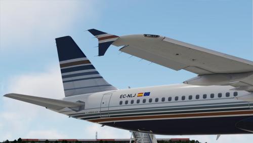 More information about "Privilege Style Airbus A321 Fleet [EC-NLJ + EC-OCT]"