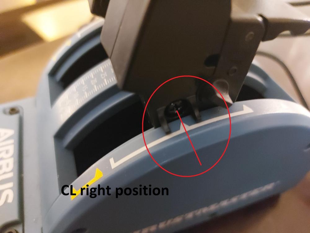 CL right position TCA.jpg