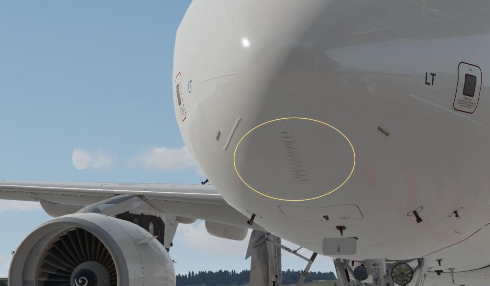 Nose_LX.jpg