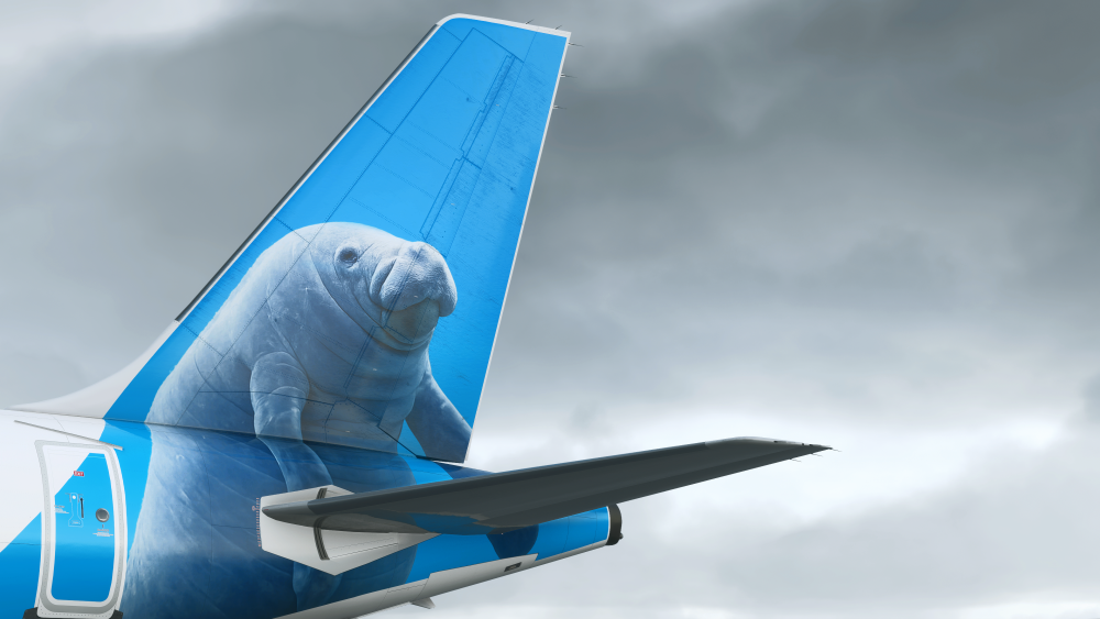 Microsoft Flight Simulator 2024 Screenshot 2026.02.16 - 20.27.44.24.png