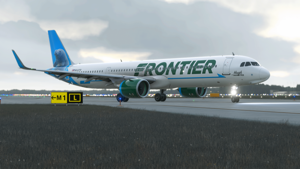 Microsoft Flight Simulator 2024 Screenshot 2026.02.16 - 20.33.49.38.png