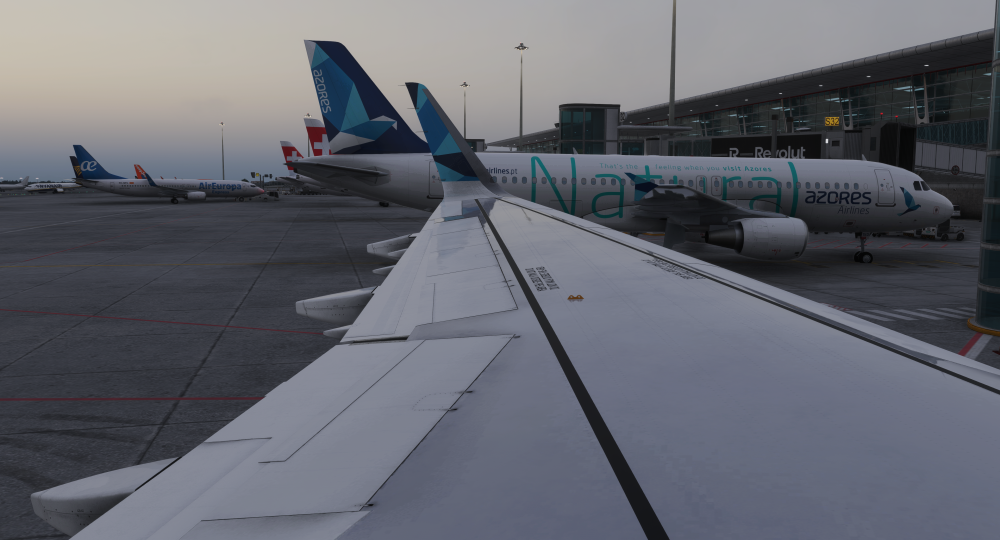 Microsoft Flight Simulator 2024 Screenshot 2026.06.02 - 21.09.23.91.png