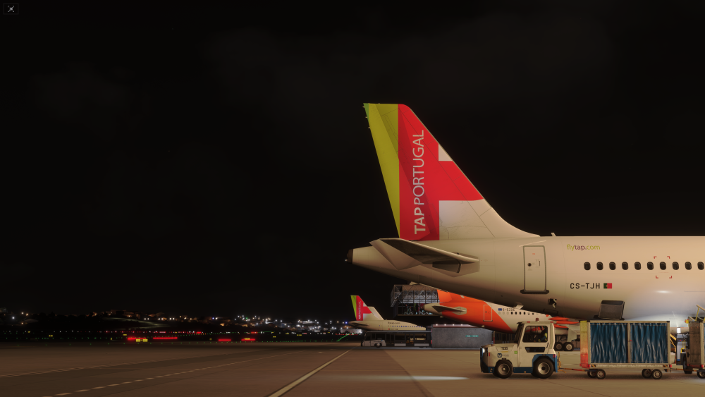 Microsoft Flight Simulator 2024 Screenshot 2026.06.05 - 00.12.34.11.png